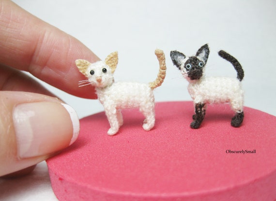Micro toy apricot clearance