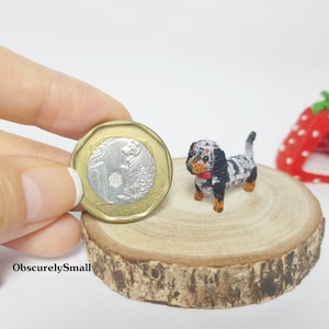 Miniatur Dackel Hund - Tiny Amigurumi häkeln Tier - Tiny Dollhouse