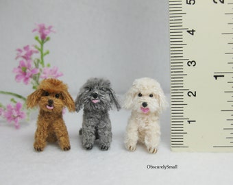 Micro Poodle Etsy Micro Poodle Etsy