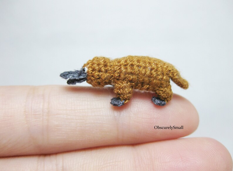Tiny Crochet Platypus  Miniature Amigurumi Platypus  Made to image 6
