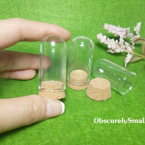 Glass Dome - Mini Glass Dome - Mini Clear Display Dome - Mini Bell Jar