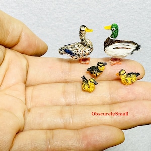Op de afbeelding: Een hand houdt vijf miniatuur gehaakte eenden vast. Twee van de eenden zijn groter en hebben bruin-witte veren. De andere drie eenden zijn kleiner en hebben geel-zwarte veren. De eenden staan ​​allemaal op de palm van de hand. De tekst "ObscurelySmall" is zichtbaar in de rechterbenedenhoek van de afbeelding.