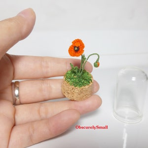 Mini poppy glass cloche dome, Amigurumi flower, Tiny glass dome, Fairy Flower Garden, Crochet poppy