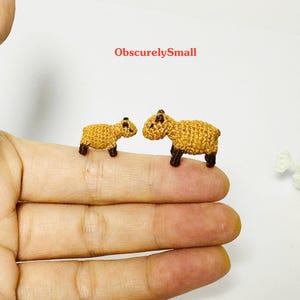 Micro Crochet Capybara: Miniature Amigurumi, Made to Order