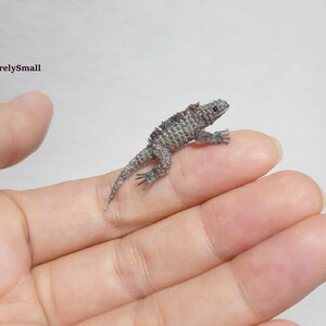 Micro Crochet Rock Iguana  - Amigurumi Rock Iguana  - Tiny Amigurumi Animals