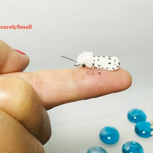 Pode incluir: Uma figura de mariposa branca em miniatura com manchas pretas, uma cabeça branca felpuda e antenas pretas finas. A mariposa tem pernas pequenas e delicadas e um corpo arredondado. O texto ObscurelySmall é visível no canto superior esquerdo.