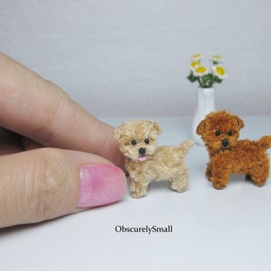 Perro maltés en miniatura de crochet - Perro amigurumi - Hecho a pedido