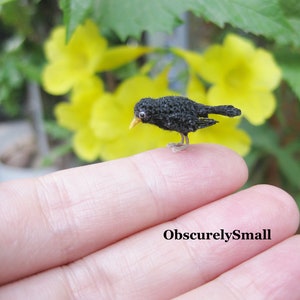 Tiny Crochet Black Bird - Miniature Amigurumi Bird - Made to Order