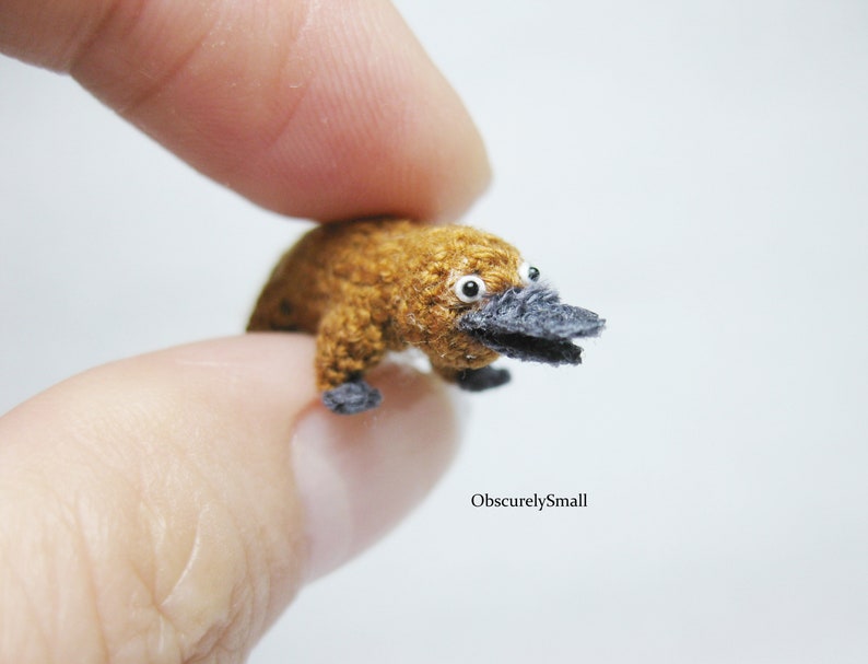 Tiny Crochet Platypus  Miniature Amigurumi Platypus  Made to image 9