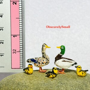 Op de afbeelding: Vijf miniatuurgebreide eenden op een rots. Twee van de eenden zijn wilde eenden, een is bruin en wit, de andere is wit met een groene kop. Drie zijn gele eendjes. Een liniaal bevindt zich op de achtergrond als maatstaf.