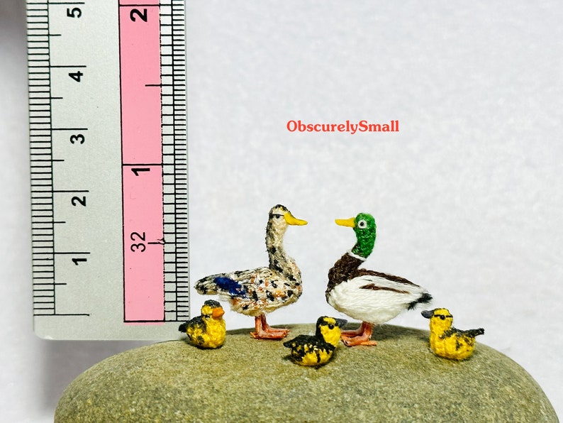 Op de afbeelding: Vijf miniatuurgebreide eenden op een rots. Twee van de eenden zijn wilde eenden, een is bruin en wit, de andere is wit met een groene kop. Drie zijn gele eendjes. Een liniaal bevindt zich op de achtergrond als maatstaf.
