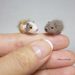 Micro Guinea Pig Amigurumi - Tiny Crochet Dollhouse -  Miniature Animal - Made To Order
