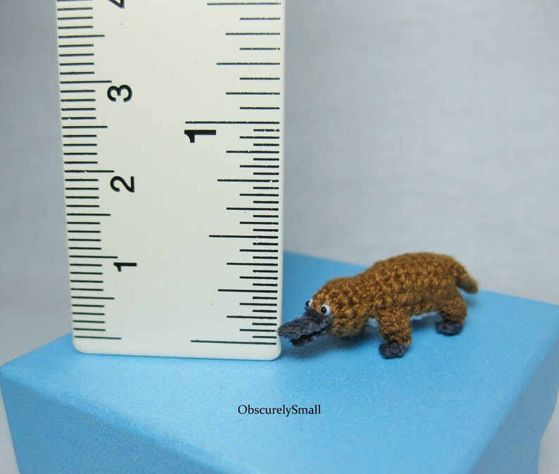 Tiny Crochet Platypus  Miniature Amigurumi Platypus  Made to image 5