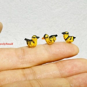 Op de afbeelding: Drie kleine gebreide gele en zwarte vogels zitten op een vinger. De vogels zijn erg klein, ongeveer zo groot als een vingernagel.
