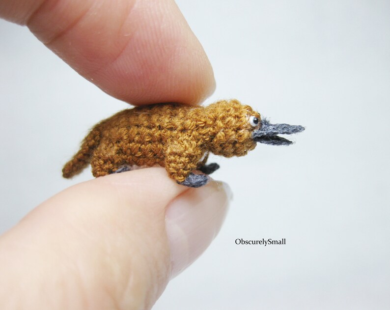 Tiny Crochet Platypus  Miniature Amigurumi Platypus  Made to image 8