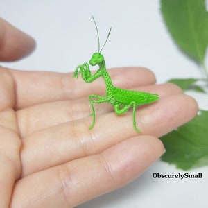 Könnte beinhalten: Eine kleine, grüne gehäkelte Gottesanbeterin-Figur. Die Gottesanbeterin ist mit erhobenen Vorderbeinen, wie zum Gebet, posiert. Die Figur sitzt auf der Hand einer Person.