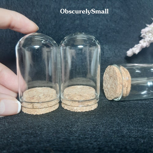 Glass Dome - Mini Glass Dome - Mini Clear Display Dome - Mini Bell Jar