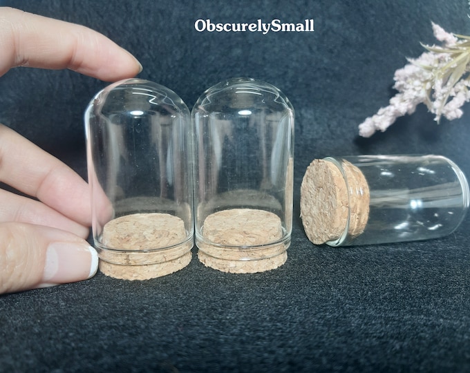 Glass Dome Mini Glass Dome Mini Clear Display Dome Mini Bell Jar Etsy