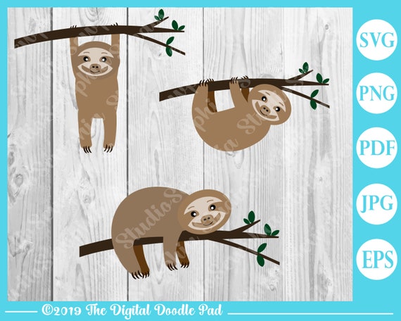 Download Free Set Of 3 Cute Sloth On A Branch Svg Sloth Vector Art For Etsy SVG Cut Files