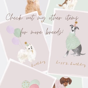 Bluebell The Birthday Spaniel Card – Lorna Syson