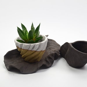 Stoneware plant pot, saucer and pitcher set, Unique plant pot, Ceramic handmade plant pot, Succulent pot, Planter, Father's day, plant lover Plant pot set five