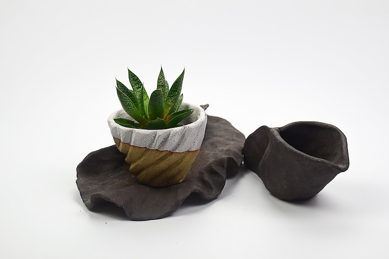 Stoneware plant pot, saucer and pitcher set, Unique plant pot, Ceramic handmade plant pot, Succulent pot, Planter, Father's day, plant lover Plant pot set five