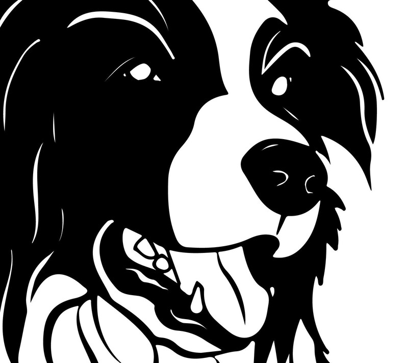 Download Collie dog Border collie sheep dog SVG file Dog svg for | Etsy