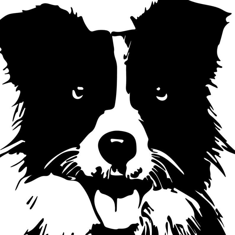 Download Border collie sheep dog SVG file Collie Dog svg for Cricut | Etsy
