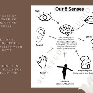 Sensory Intervention Ideas Therapy Session Handouts Sensory Regulation Worksheets Occupational Therapy Interventions Social Work Child Life Specialist Paraprofessional OT Ideas Pediatric Session Ideas Teacher Education Worksheets Teens Adults