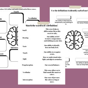 Sensory Regulation Workbook, Sensory Systems, Sensory Worksheets, Coping Skills Worksheets, Activities for Kids, Activities for Teens