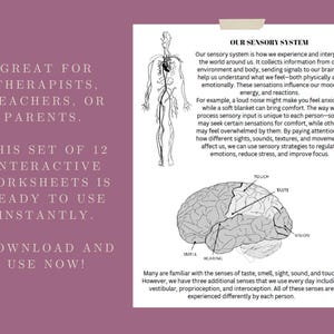 May include: A black and white illustration of the human body with a diagram of the circulatory system. The image also shows a diagram of the brain with labels for the five senses: touch, taste, vision, smell, and hearing. The text "Our Sensory System" is at the top of the image. The text below the image reads: "Many are familiar with the senses of taste, smell, sight, sound, and touch. However, we have three additional senses that we use every day including vestibular, proprioception, and interoception. All of these senses are experienced differently by each person."