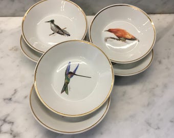 6 pequeños cuencos/platos franceses vintage, de porcelana de Berry, de C N P (Company National de Porcelaine), pintados a mano con pájaros exóticos, exquisitos