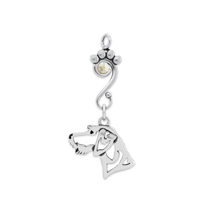 Könnte beinhalten: Ein silberfarbener Anhänger mit einem Hundekopf und einem Pfotenabdruck-Design. Der Hundekopf ist mit ausgeschnittenen Details versehen, und der Pfotenabdruck hat einen zentralen, irisierenden Edelstein. Der Anhänger hängt an einer Schlaufe.