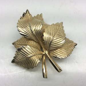 May include: A gold-toned brooch in the shape of a cluster of leaves. The leaves are detailed with a textured, ribbed design.