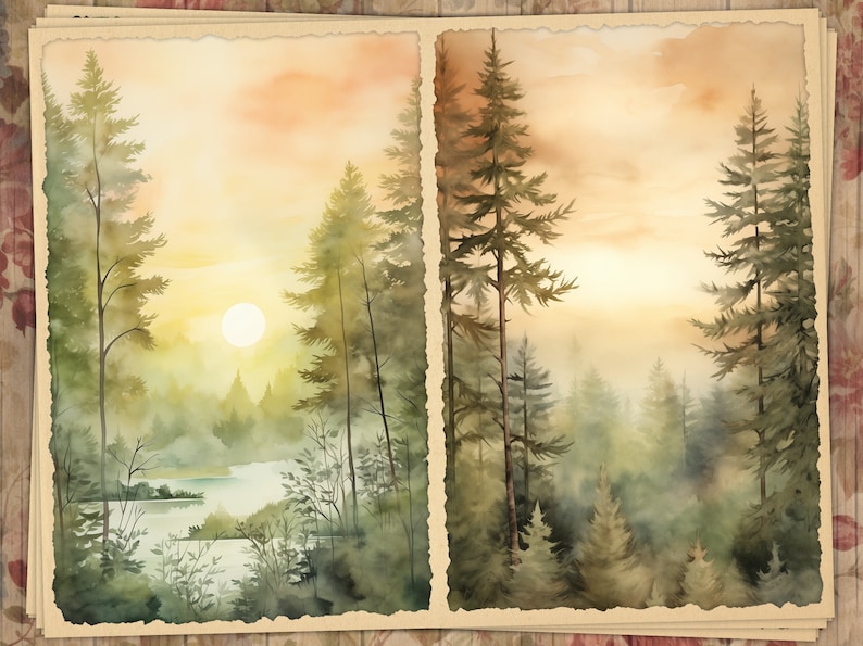 May include: Watercolor painting of a forest scene with a sunrise. The artwork is split into two panels, each depicting tall evergreen trees and a hazy, golden sky. The overall theme is nature and landscape.