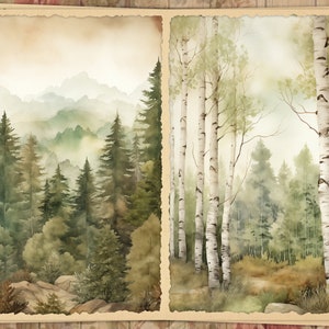 May include: Watercolor painting of a forest scene with two panels. The left panel depicts a misty mountain landscape with evergreen trees. The right panel shows birch trees with white bark and green foliage. The artwork has a vintage aesthetic.