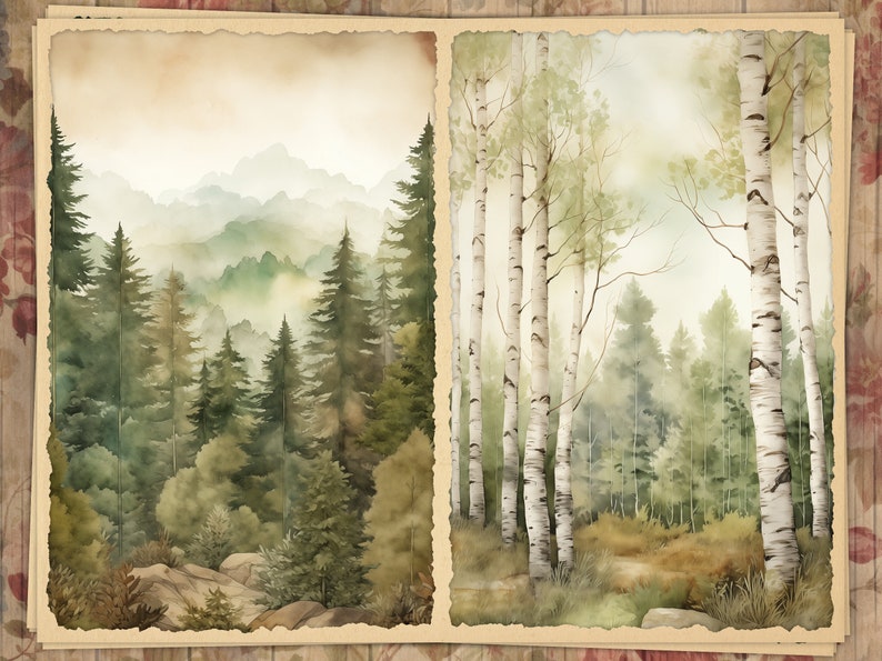 May include: Watercolor painting of a forest scene with two panels. The left panel depicts a misty mountain landscape with evergreen trees. The right panel shows birch trees with white bark and green foliage. The artwork has a vintage aesthetic.