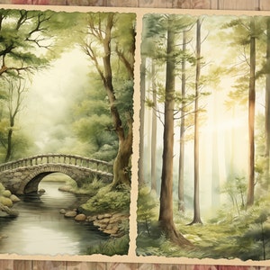 May include: Watercolor painting of a serene forest scene. The left panel depicts a stone bridge over a river, while the right panel shows tall trees bathed in sunlight. The artwork has a vintage, rustic aesthetic.