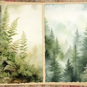 May include: Two watercolor paintings of forest scenes. One features ferns and trees in shades of green and yellow. The other depicts a misty forest with tall evergreen trees. Both are framed with a torn paper edge.