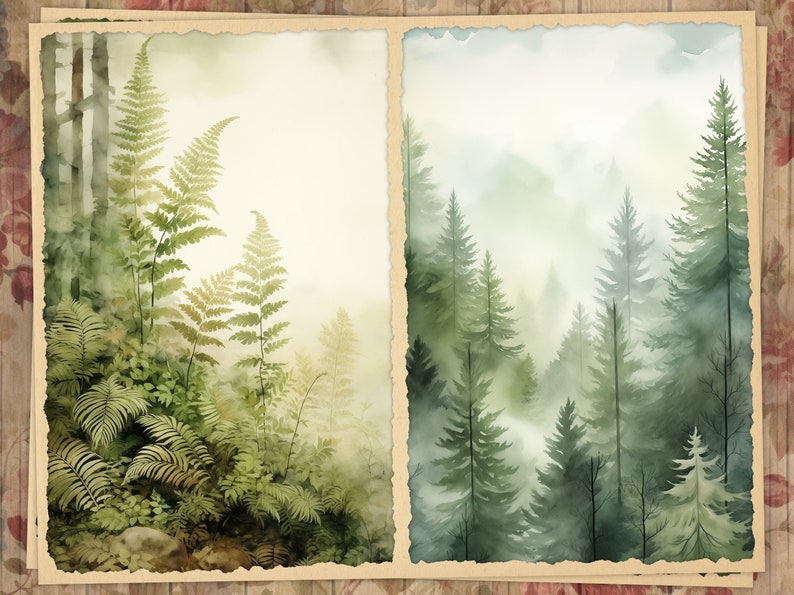 May include: Two watercolor paintings of forest scenes. One features ferns and trees in shades of green and yellow. The other depicts a misty forest with tall evergreen trees. Both are framed with a torn paper edge.
