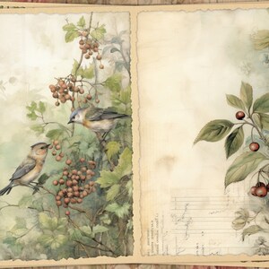 Watercolor Birds Junk Journal Printable Pages, Vintage Birds Junk ...