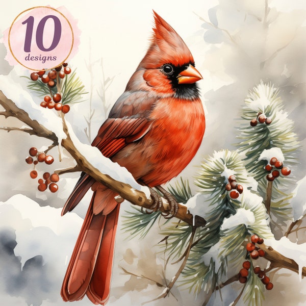 Watercolor Winter Red Cardinal Bundle, Christmas Red Cardinal Clipart, Junk Journal Winter Birds, JPG Files