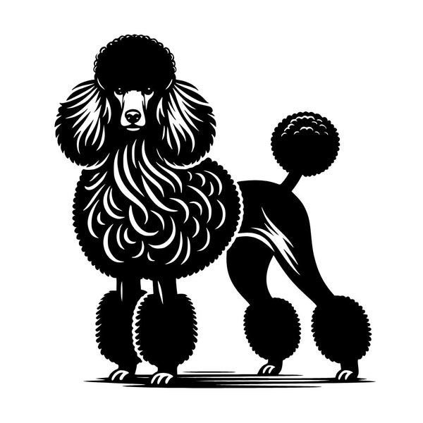 Poodle SVG | Png | Pdf | Jpg | Laser | Screen | Silhouette | Unique Poodle Design | Crafts | Cut File | Sublimation