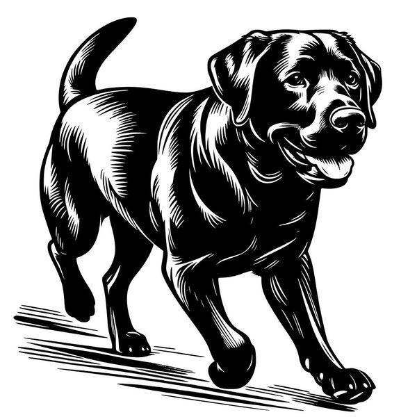 Labrador Retriever SVG | Png | Pdf | Jpg | Laser | Silhouette | Unique Labrador Retriever  Design | Crafts | Cut File | Sublimation