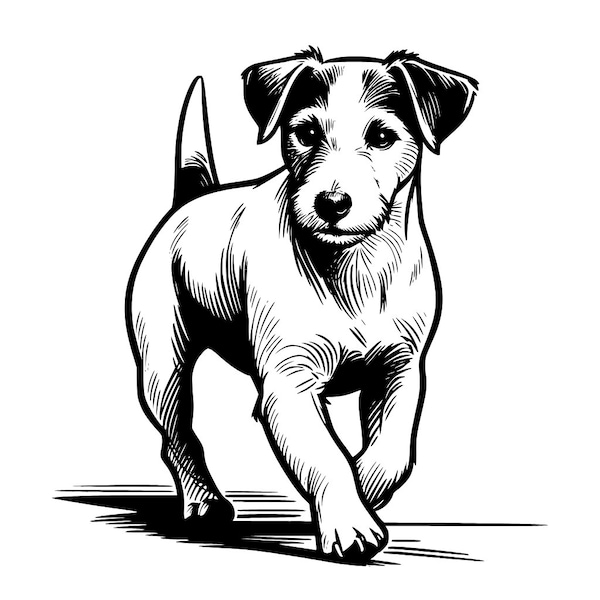 Jack Russell Terrier SVG | Png | Pdf | Dxf | Jpg | Laser | Silhouette | Unique Jack Russell Design | Crafts | Cut File | Sublimation