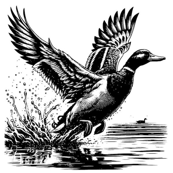 Duck SVG | Vector | Dxf | Png| Jpg | Laser | Screen  | Silhouette | Unique Mallard Design | Crafts | Sublimation