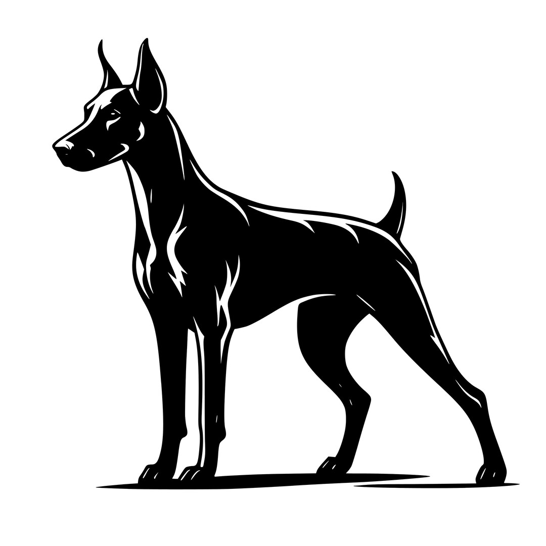 Dobermann Pinscher SVG Vector Dxf Png Jpg Laser Screen Silhouette ...