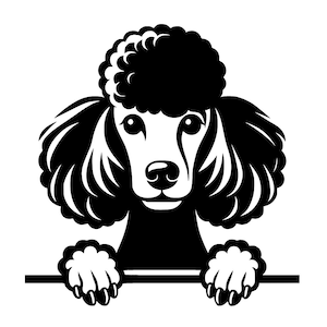 Poodle SVG | Vector | Dxf | Png| Jpg | Laser | Screen | Silhouette | Unique Poodle Design | Crafts | Cut File | Sublimation