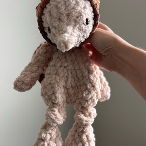 Hally Hedgehog