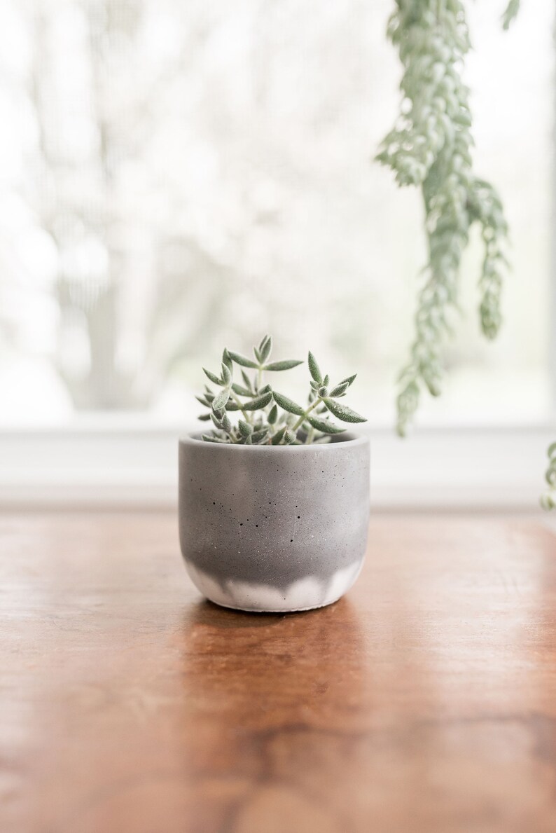 Set of 4 Succulent Planters with Drainage Pots for Plants | Etsy